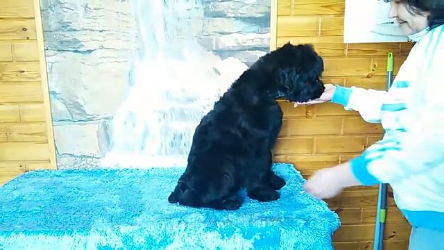 VID 20180623 164250к смотреть онлайн