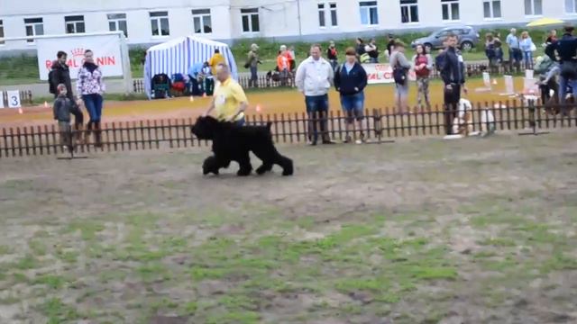DSC 8790 смотреть онлайн