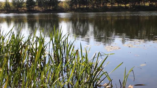 ОСЕНЬ исп.В Капризов смотреть онлайн