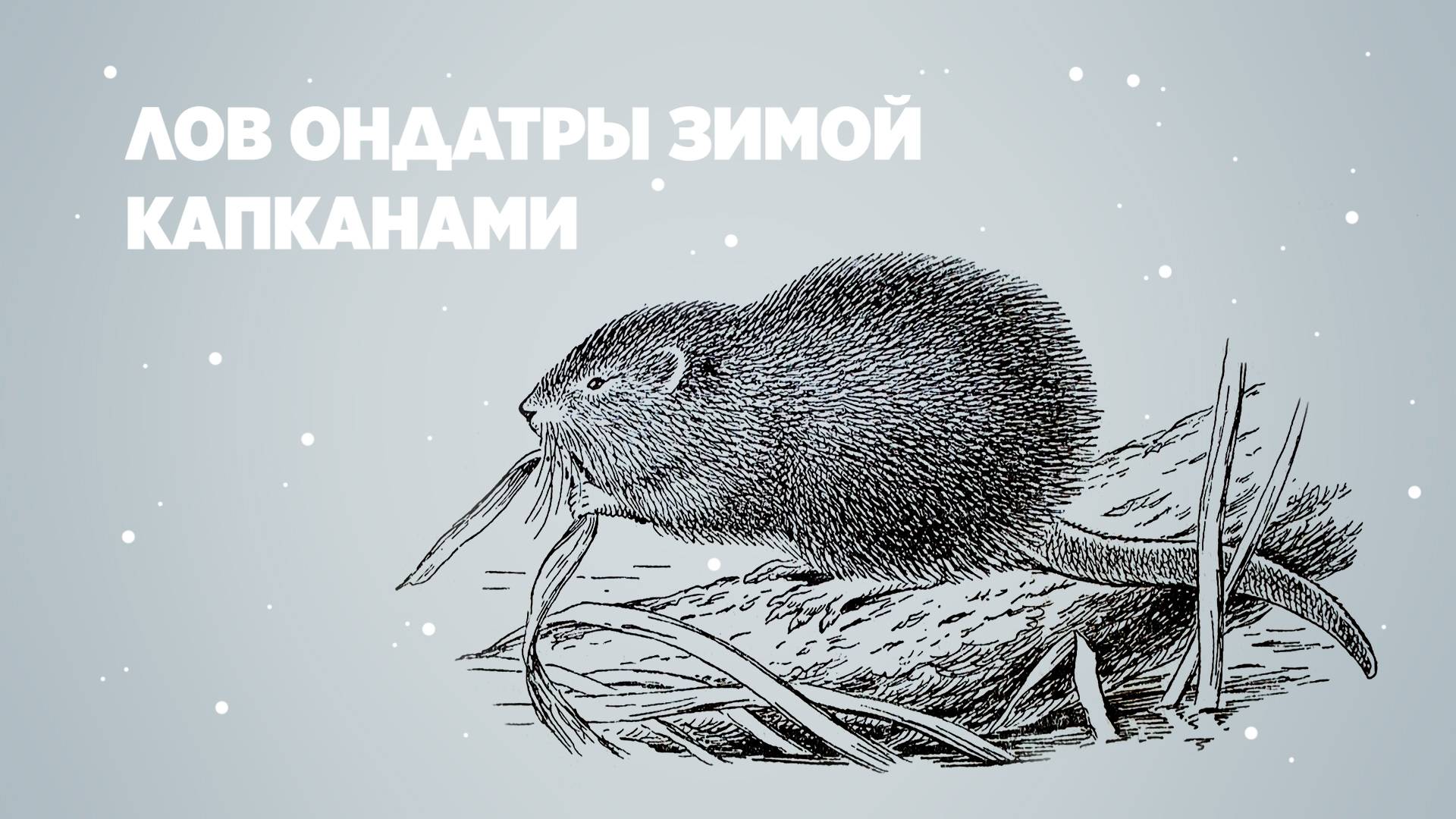 Николай Хилько