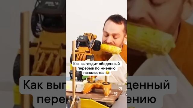 как выглядит обед по мнению начальства смотреть онлайн