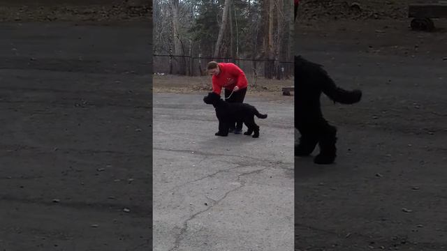 20190504 121558 смотреть онлайн