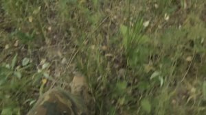 [Игра на выживание #4] Базовый лагерь (Сериал по мотивам DAYZ)