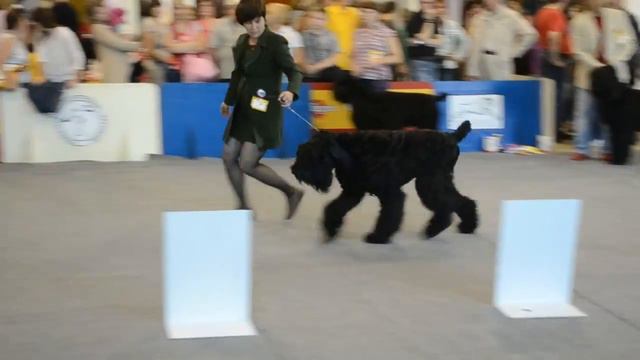 DSC 0103 смотреть онлайн