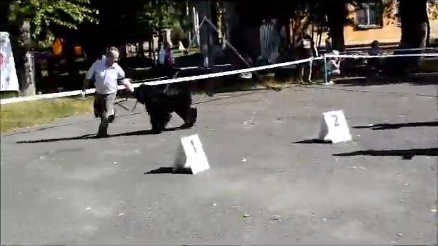 Дарина промежуток смотреть онлайн