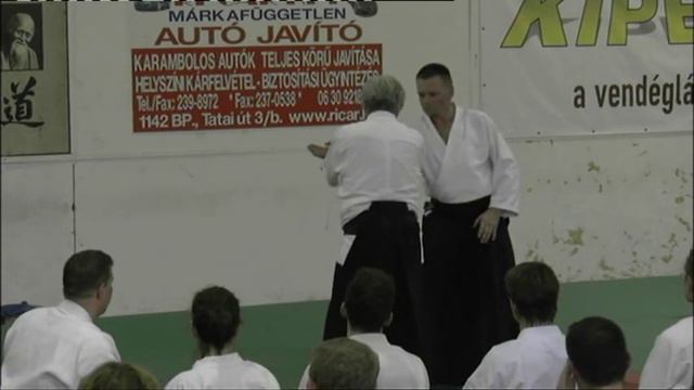 Ямада Ёсимицу. Семинар айкидо. Будапешт, 2013 (ч 3)