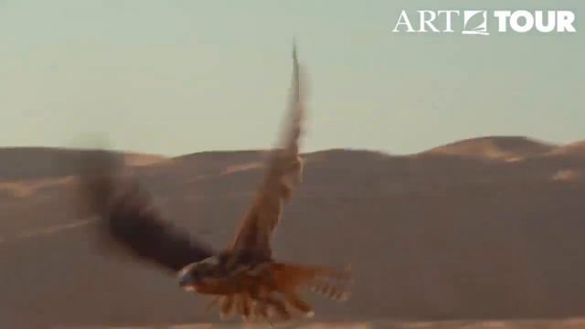 Experience Abu Dhabi