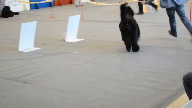 DSC 0140 смотреть онлайн