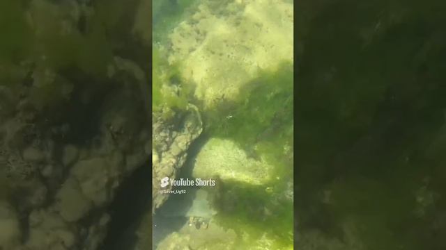 Июль 2024 Геленджик