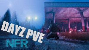 Dayz - ЛУЧШИЙ ПВЕ СЕРВЕР БЕЗ МОДОВ ? NFR PVE DAYZ