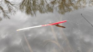 Натаскал ВЕДРО НА ПОПЛАВОК!! Крупный карась, язь, рыбалка на поплавок