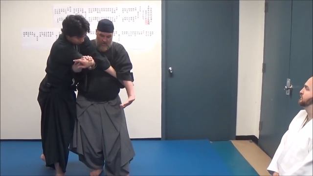 Aiki Hiketsu DVD Sample-lecture Demo