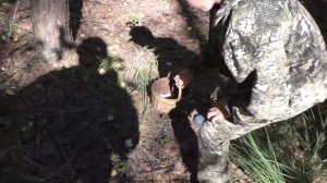 БЕЛЫЕ ГРИБЫ И БОРОВИКИ! Поход КОМПАНИЕЙ в лес ЗА ГРИБАМИ!