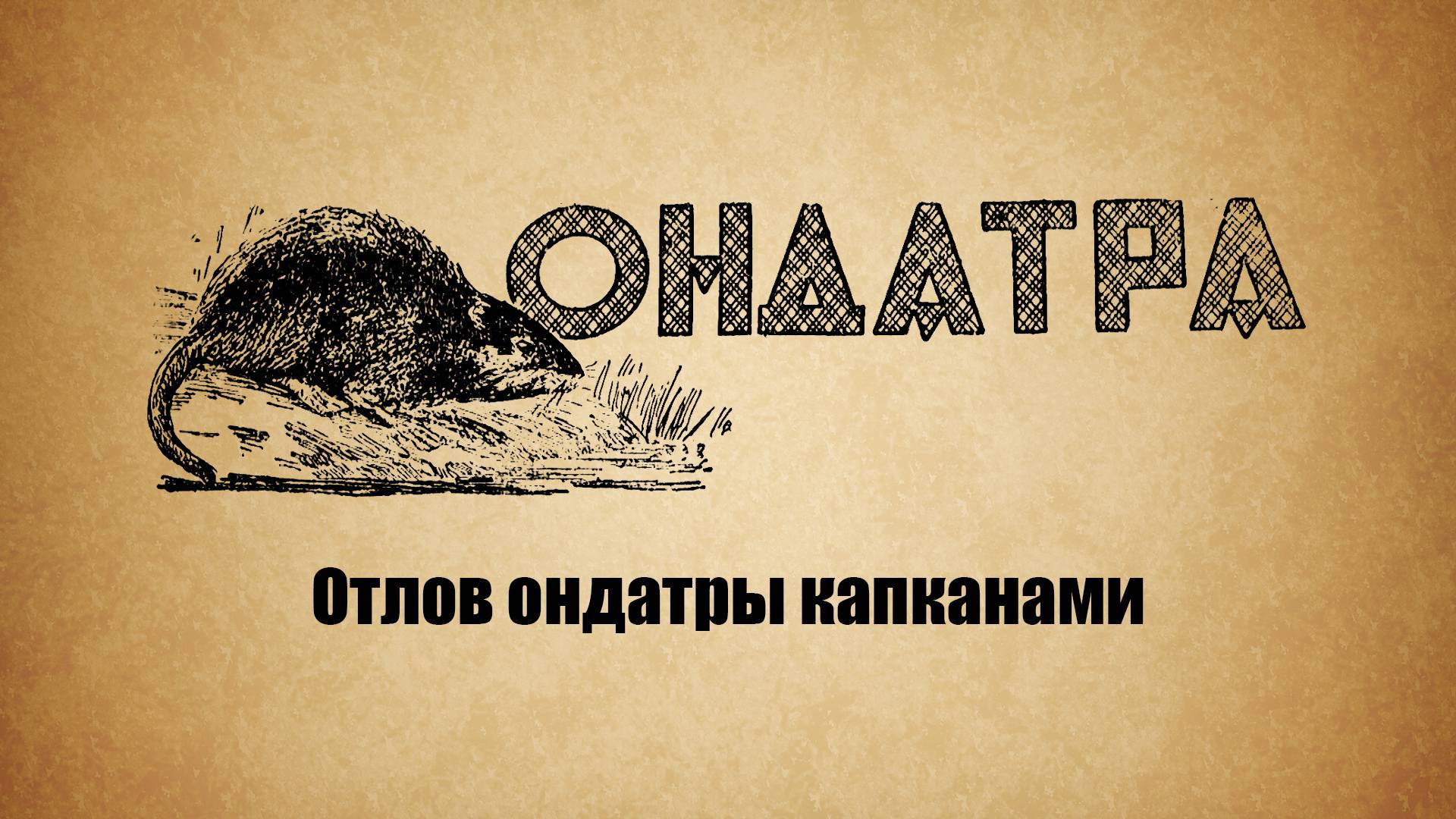 Отлов ондатры капканами смотреть онлайн