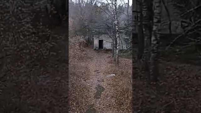 как по науке смотреть онлайн