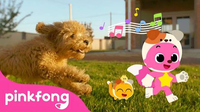 The Cutest Baby Dog! | Puppy Song | Pinkfong For Kids