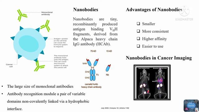 Nanobodies #antibodies смотреть онлайн