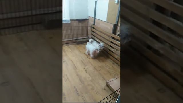 VID 20151011 164740 смотреть онлайн
