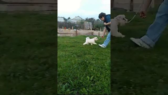 Беатрис смотреть онлайн