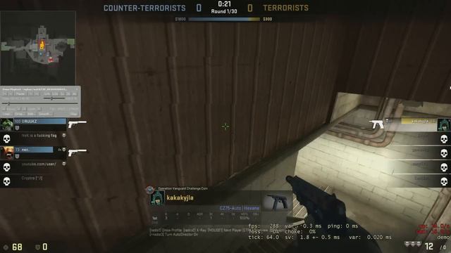 Отличный Ace / Counter-Strike: Global Offensive смотреть онлайн