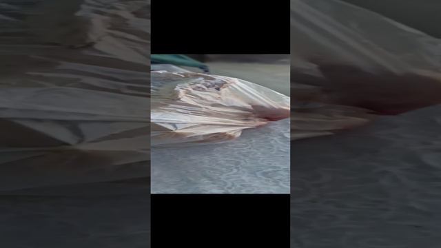 Вот почему так, а!? смотреть онлайн