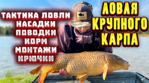 Ловля ТРОФЕЙНОГО КАРПА на ФЛЭТ и карповые монтажи рыбалка на карпа