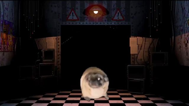 Pug bailando смотреть онлайн