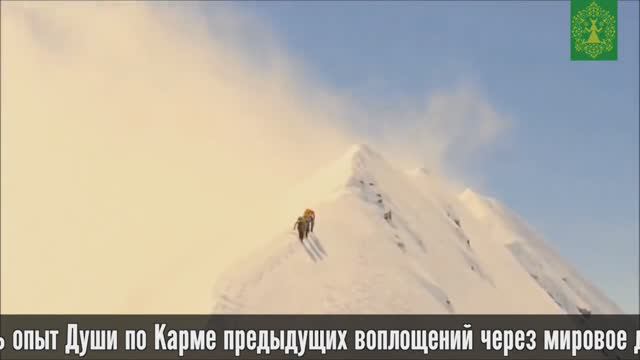 О канале Знаки. Зелёная Тара смотреть онлайн