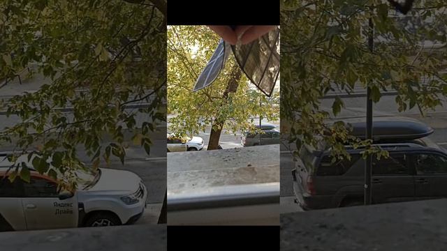 Чистка Daikin. Студенческая 31