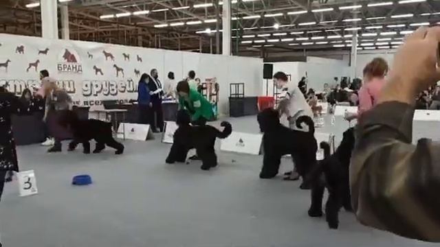 РЧТ , сравнение на ЛПП ( Пермь, моно) смотреть онлайн