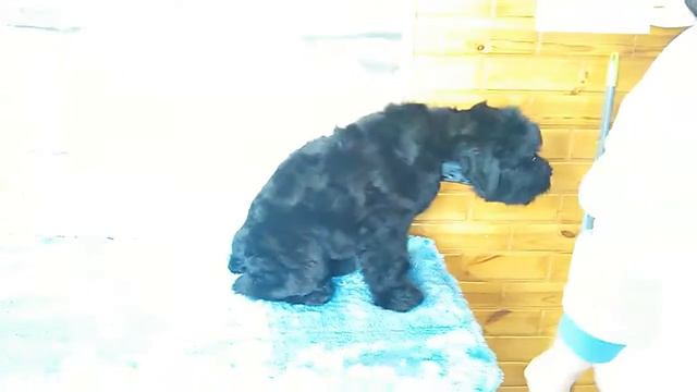 VID 20180623 163638к смотреть онлайн