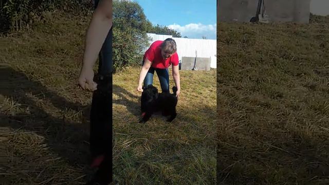 VID 20180906 163331 смотреть онлайн