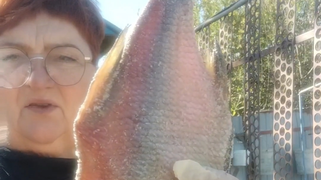 моменты жизни