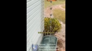 Лайфхак. Дождевые цепи — это декоративные водосточные системы