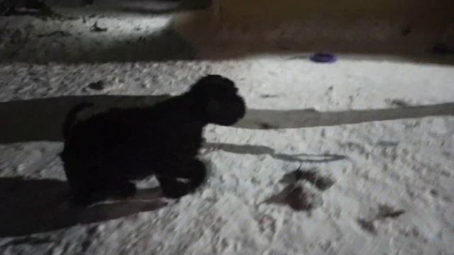 VID 20220209 190631 смотреть онлайн