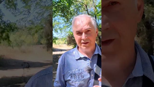 ВЛАСТЬ ЖЕНЩИНЫ! Убивает или возвышает? #александрковальчукпсихолог #психологотвечает смотреть онлайн