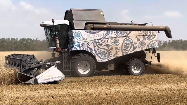 Уборочная 2024. За плечами 77%. 8600га. 79ц_га. 13,0% протеин. Натура 795. смотреть онлайн