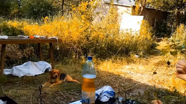 Striptease In The VillageThe First Day In The Village After Moving From The City In Which The War..