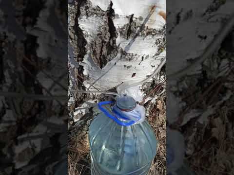 мастер Hobby Ru