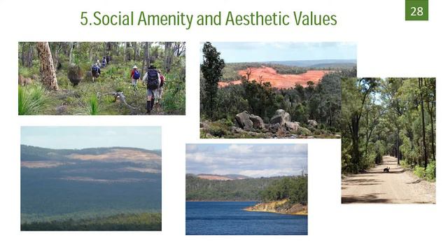 Bauxite mining in WA's Northern Jarrah Forests Presentation смотреть онлайн