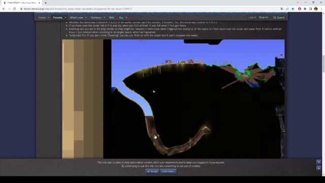 El Bug Más Extraño De Terraria