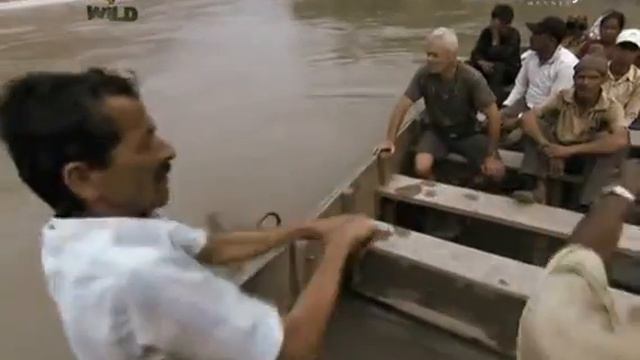 Речные монстры смотреть онлайн