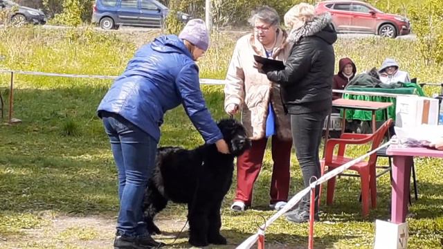 2019-05-25 РЧТ выставка