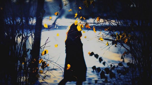 June Miller - Lowlands смотреть онлайн