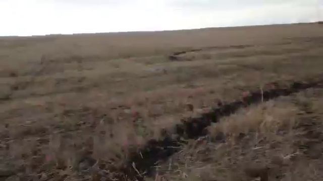 Квадрик 2017 смотреть онлайн