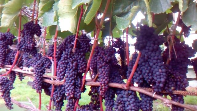 к этому должен стремится каждый.