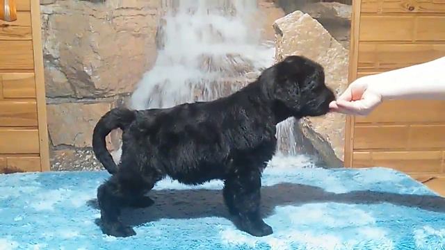 VID 20151104 222348 смотреть онлайн