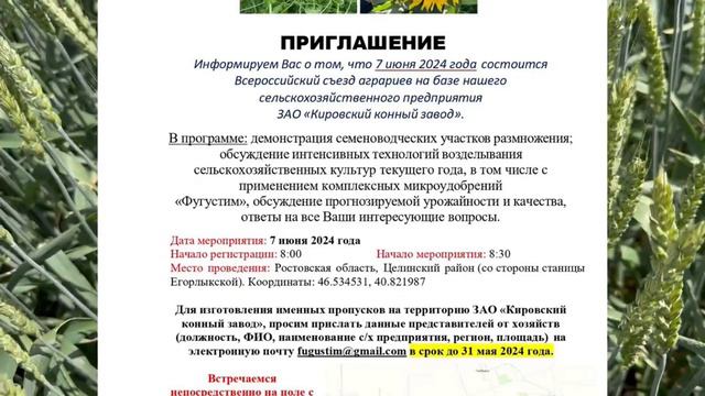 День поля ЗАО «Кировский конный завод». 07.06.2024 смотреть онлайн