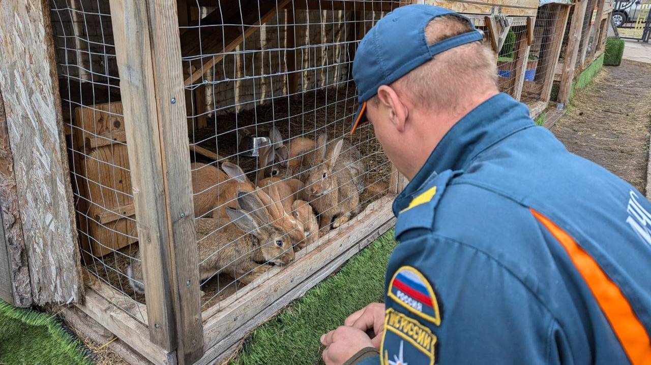 Сытный сюрприз от МЧС России смотреть онлайн