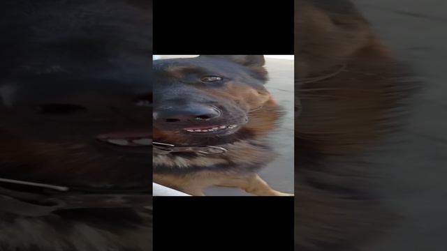 эх, курочка! смотреть онлайн